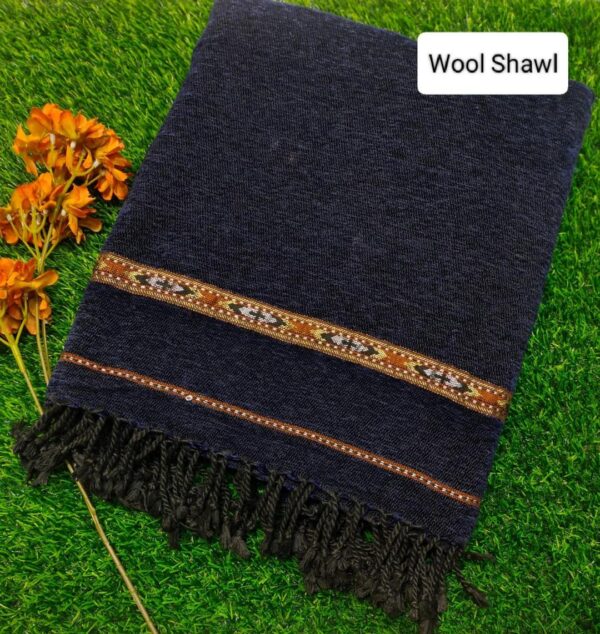 Men's Pashmina Wool Zari Shawl